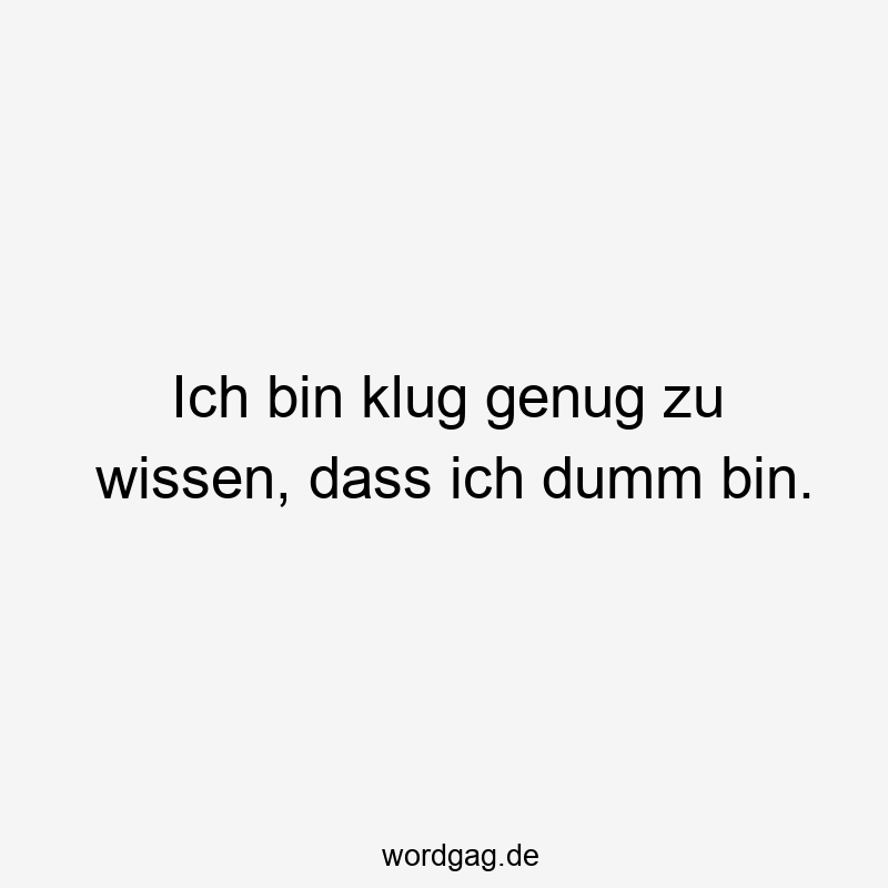 Ich bin klug genug zu wissen, dass ich dumm bin.