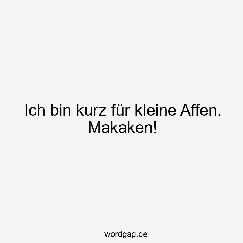 Ich bin kurz für kleine Affen. Makaken!
