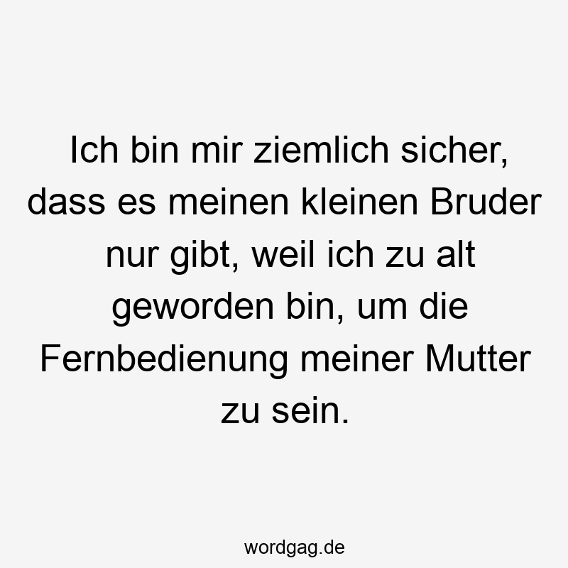 Ich bin mir ziemlich sicher, dass es meinen kleinen Bruder nur gibt, weil ich zu alt geworden bin, um die Fernbedienung meiner Mutter zu sein.