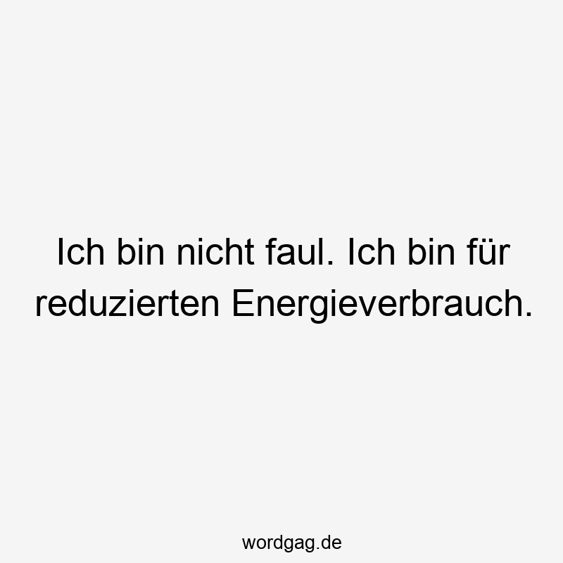 96 Lustige Faul Sprüche - Ich bin nicht faul. Ich bin für reduzierten Energieverbrauch.