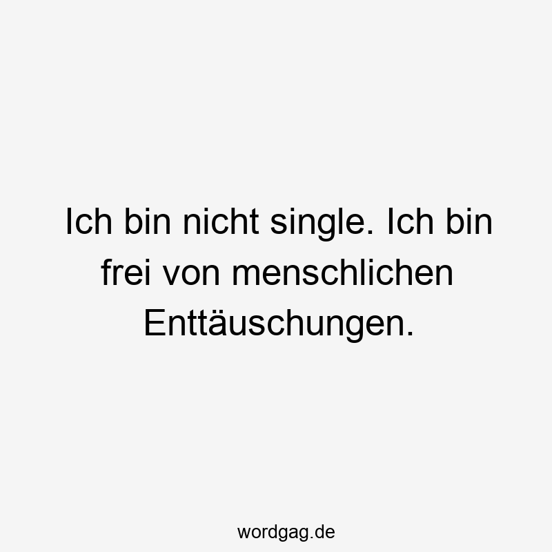 Lustige Sprüche: Enttäuschungen - Ich bin nicht single. Ich bin frei von menschlichen Enttäuschungen.