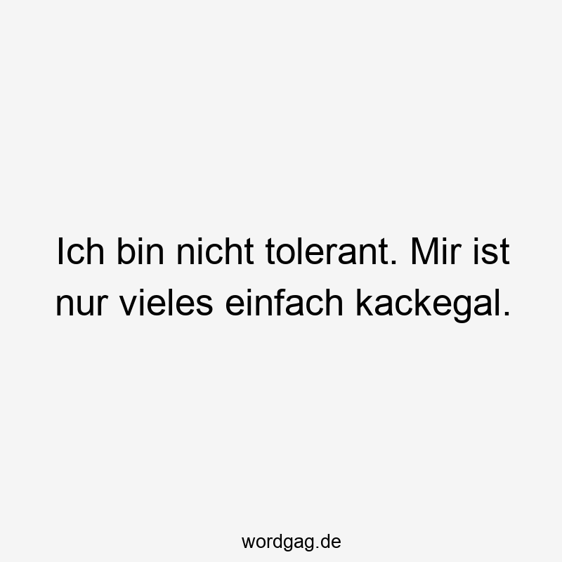 Lustige tolerant Sprüche - Ich bin nicht tolerant. Mir ist nur vieles einfach kackegal.