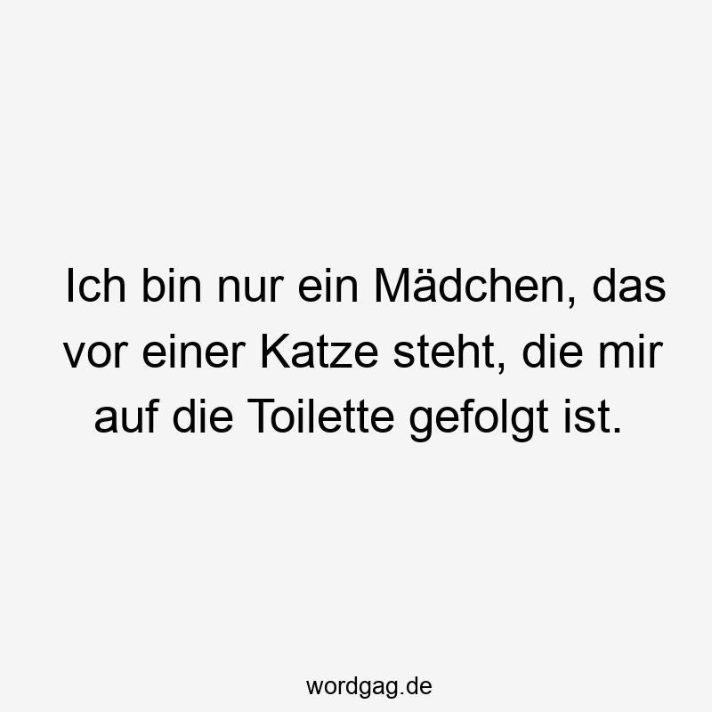 Ich bin nur ein Mädchen, das vor einer Katze steht, die mir auf die Toilette gefolgt ist.