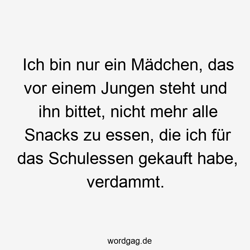 Ich bin nur ein Mädchen, das vor einem Jungen steht und ihn bittet, nicht mehr alle Snacks zu essen, die ich für das Schulessen gekauft habe, verdammt.