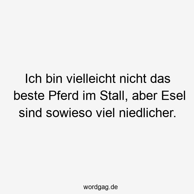 Ich bin vielleicht nicht das beste Pferd im Stall, aber Esel sind sowieso viel niedlicher.