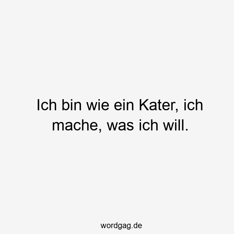 Ich bin wie ein Kater, ich mache, was ich will.