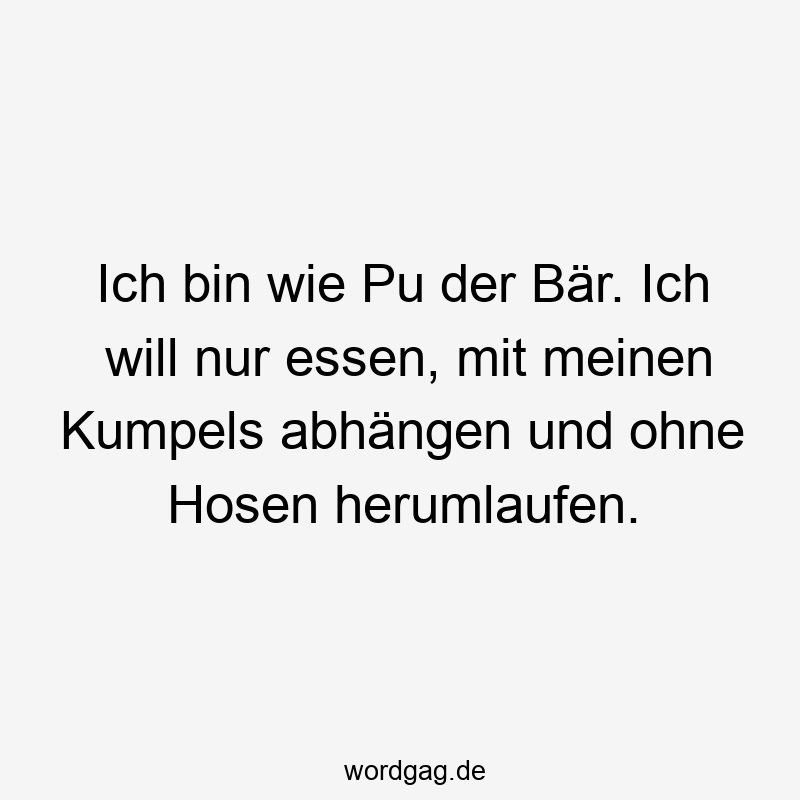 146 Lustige Freizeit Sprüche - Ich bin wie Pu der Bär. Ich will nur essen, mit meinen Kumpels abhängen und ohne Hosen herumlaufen.