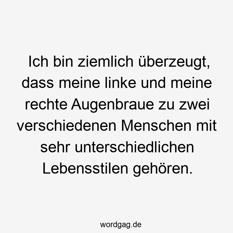 Ich bin ziemlich überzeugt, dass meine linke und meine rechte Augenbraue zu zwei verschiedenen Menschen mit sehr unterschiedlichen Lebensstilen gehören.