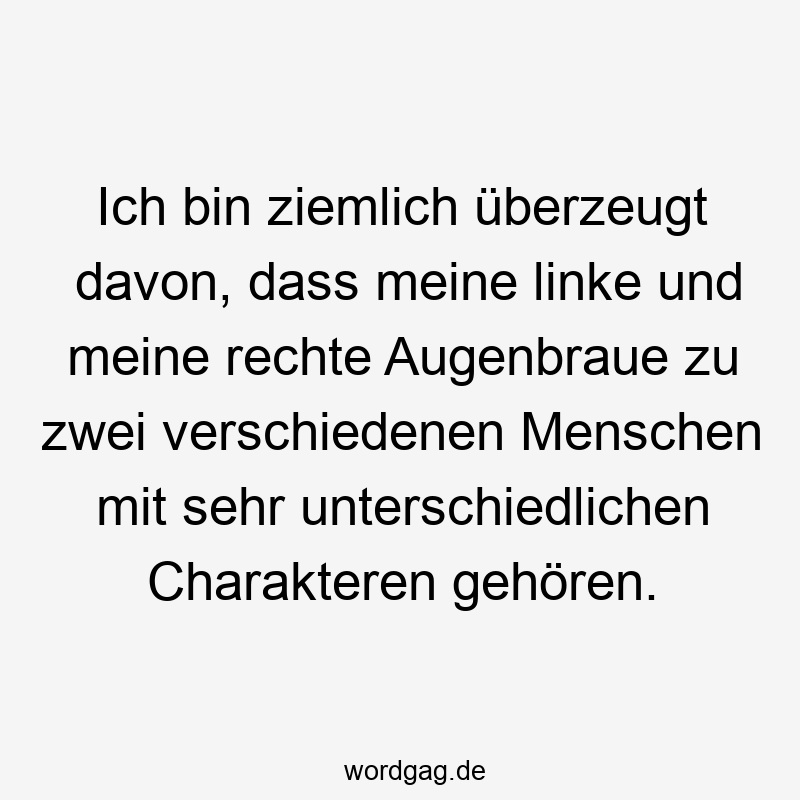 Ich bin ziemlich überzeugt davon, dass meine linke und meine rechte Augenbraue zu zwei verschiedenen Menschen mit sehr unterschiedlichen Charakteren gehören.