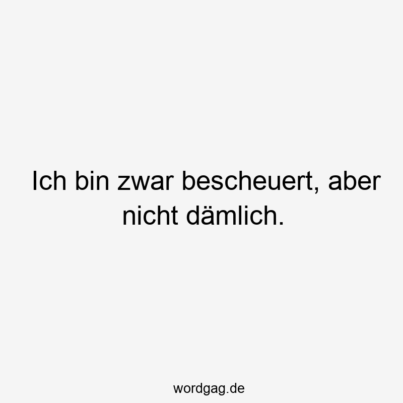 Ich bin zwar bescheuert, aber nicht dämlich.