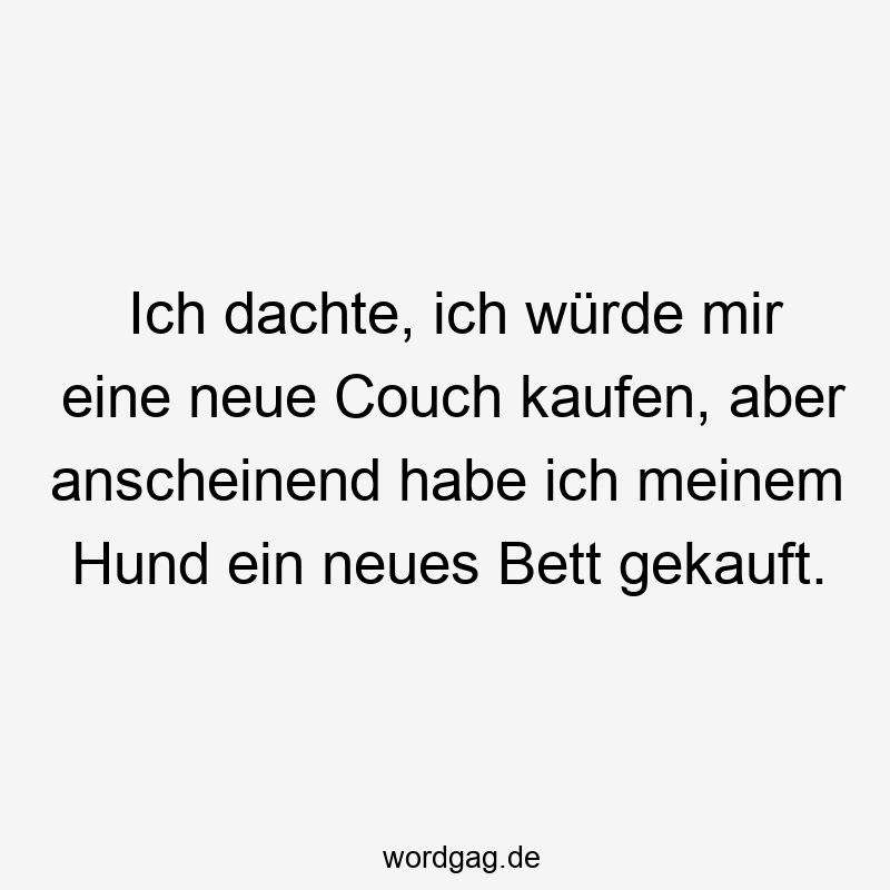 Ich dachte, ich würde mir eine neue Couch kaufen, aber anscheinend habe ich meinem Hund ein neues Bett gekauft.