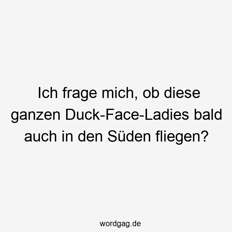 Lustige Sprüche: Fragen - Ich frage mich, ob diese ganzen Duck-Face-Ladies bald auch in den Süden fliegen?