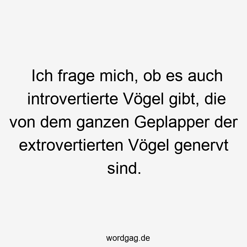 Ich frage mich, ob es auch introvertierte Vögel gibt, die von dem ganzen Geplapper der extrovertierten Vögel genervt sind.