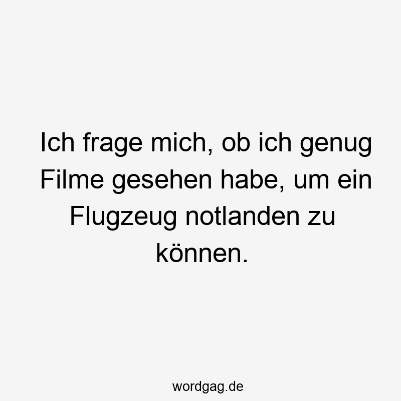 Ich frage mich, ob ich genug Filme gesehen habe, um ein Flugzeug notlanden zu können.