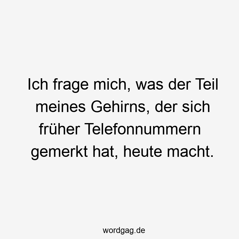 Ich frage mich, was der Teil meines Gehirns, der sich früher Telefonnummern gemerkt hat, heute macht.