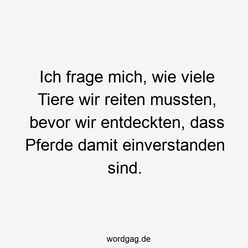 203 Lustige viele Sprüche - Ich frage mich, wie viele Tiere wir reiten mussten, bevor wir entdeckten, dass Pferde damit einverstanden sind.