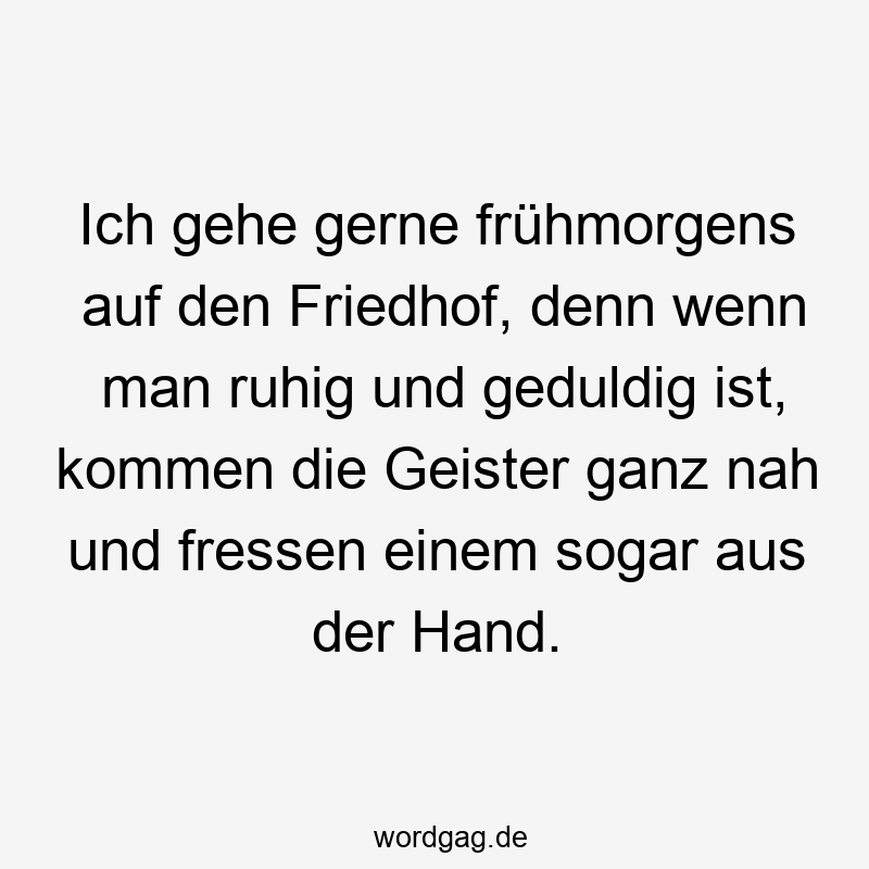 Ich gehe gerne frühmorgens auf den Friedhof, denn wenn man ruhig und geduldig ist, kommen die Geister ganz nah und fressen einem sogar aus der Hand.