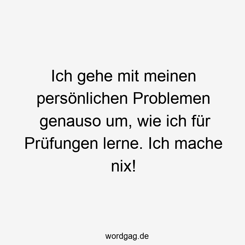 Ich gehe mit meinen persönlichen Problemen genauso um, wie ich für Prüfungen lerne. Ich mache nix!