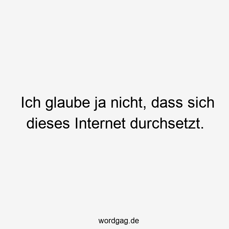 Ich glaube ja nicht, dass sich dieses Internet durchsetzt.