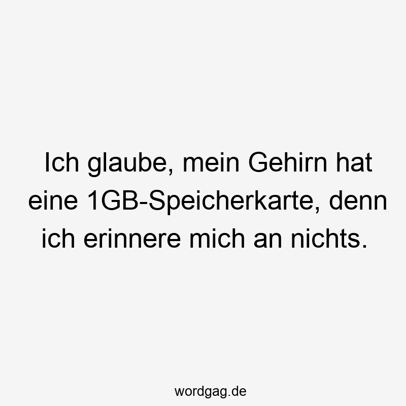 Ich glaube, mein Gehirn hat eine 1GB-Speicherkarte, denn ich erinnere mich an nichts.