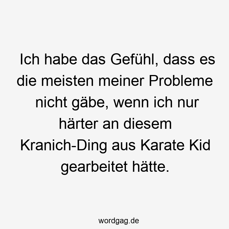 Ich habe das Gefühl, dass es die meisten meiner Probleme nicht gäbe, wenn ich nur härter an diesem Kranich-Ding aus Karate Kid gearbeitet hätte.