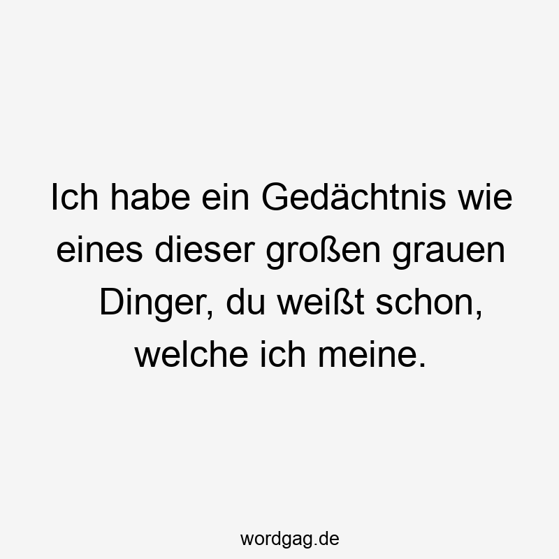 Ich habe ein Gedächtnis wie eines dieser großen grauen Dinger, du weißt schon, welche ich meine.