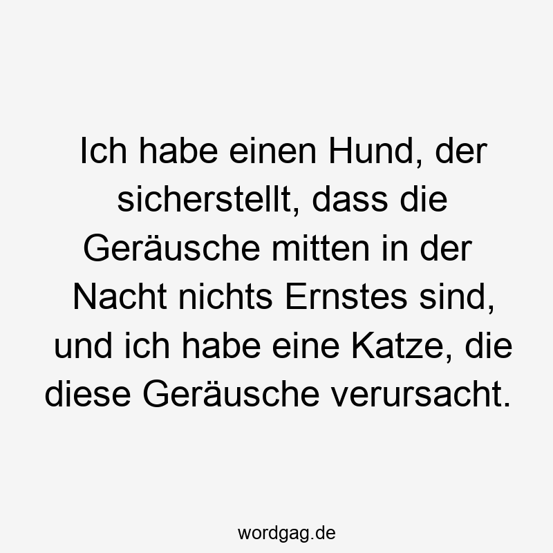 Ich habe einen Hund, der sicherstellt, dass die Geräusche mitten in der Nacht nichts Ernstes sind, und ich habe eine Katze, die diese Geräusche verursacht.