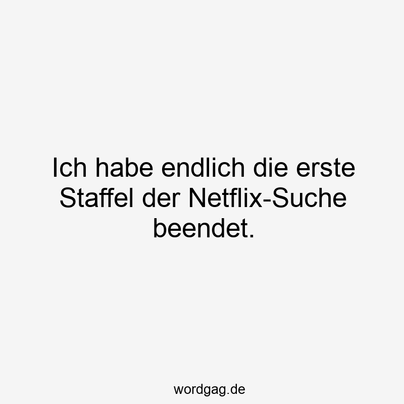 Ich habe endlich die erste Staffel der Netflix-Suche beendet.