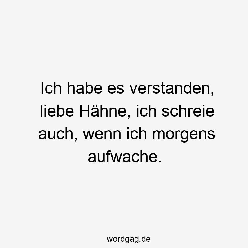 Ich habe es verstanden, liebe Hähne, ich schreie auch, wenn ich morgens aufwache.
