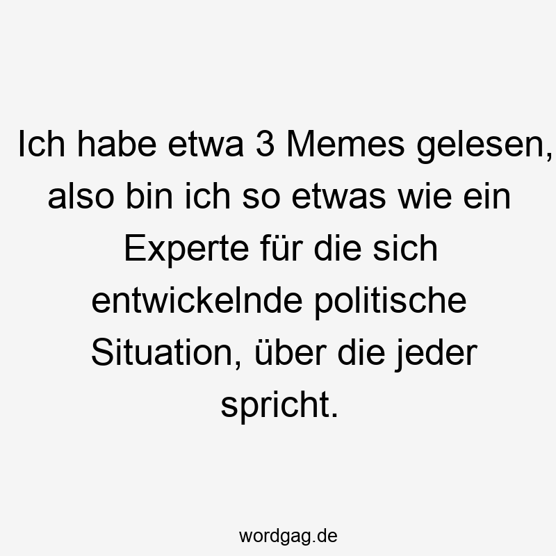 Ich habe etwa 3 Memes gelesen, also bin ich so etwas wie ein Experte für die sich entwickelnde politische Situation, über die jeder spricht.
