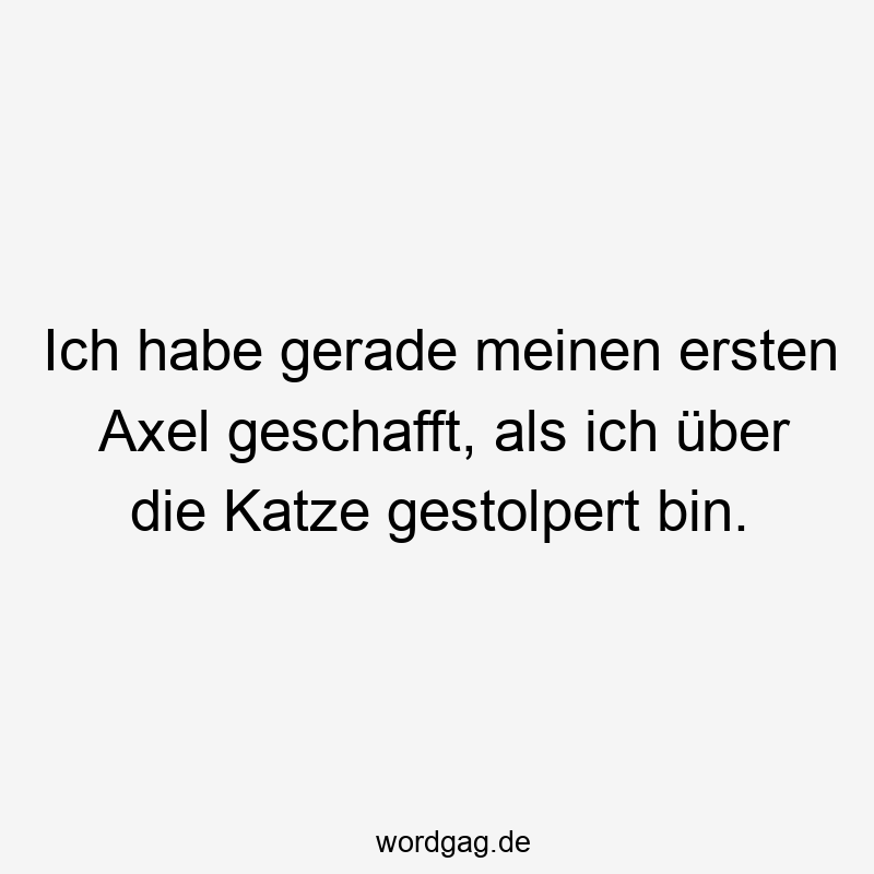 Ich habe gerade meinen ersten Axel geschafft, als ich über die Katze gestolpert bin.