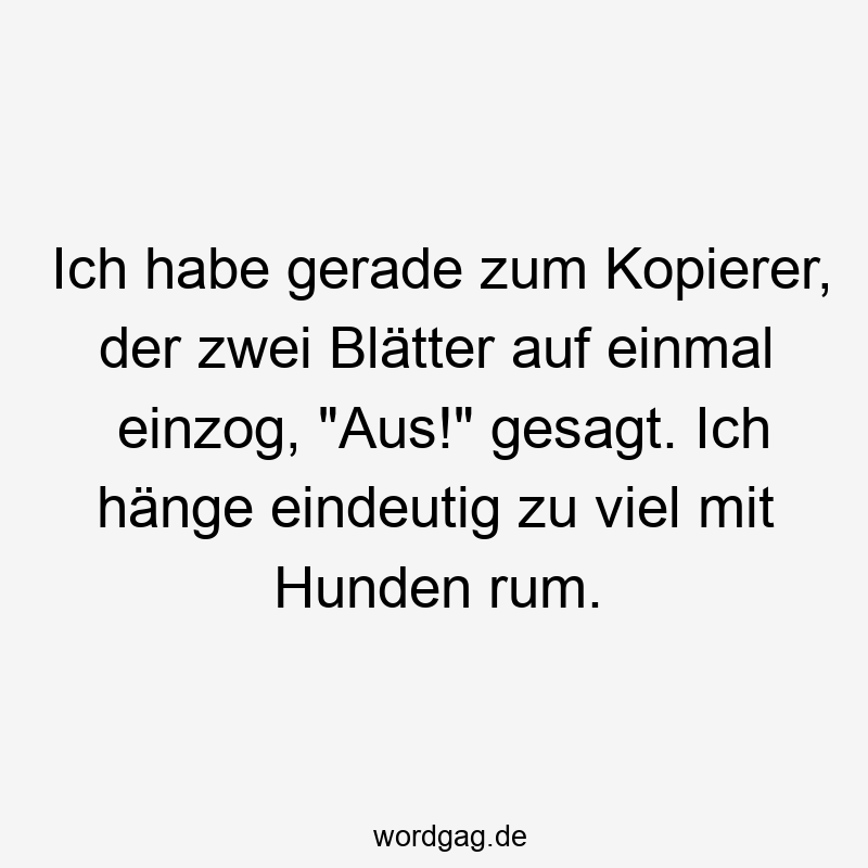 Ich habe gerade zum Kopierer, der zwei Blätter auf einmal einzog, „Aus!“ gesagt. Ich hänge eindeutig zu viel mit Hunden rum.