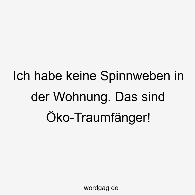 Ich habe keine Spinnweben in der Wohnung. Das sind Öko-Traumfänger!
