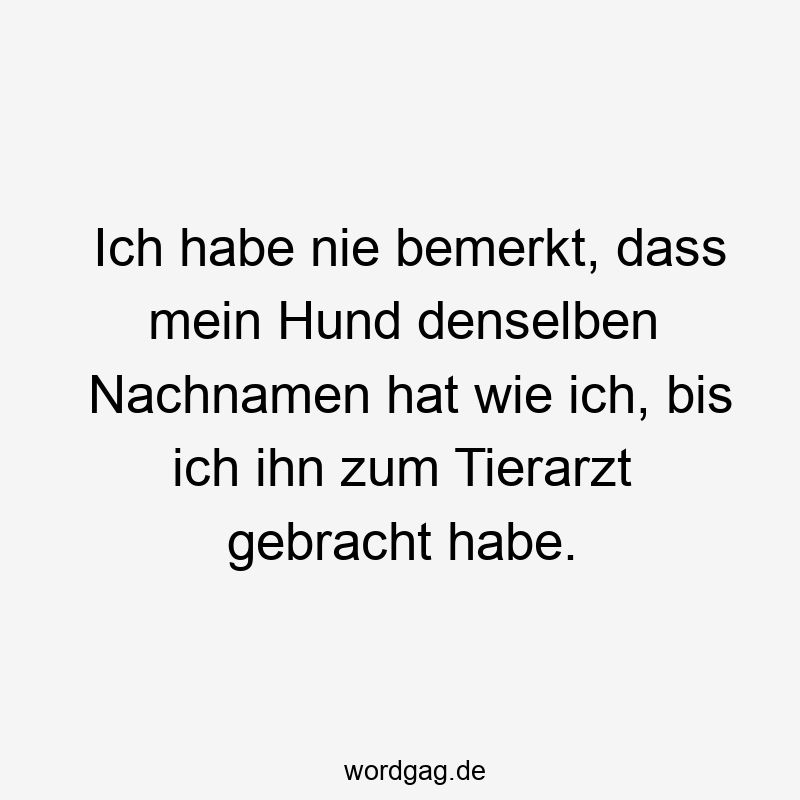 Ich habe nie bemerkt, dass mein Hund denselben Nachnamen hat wie ich, bis ich ihn zum Tierarzt gebracht habe.