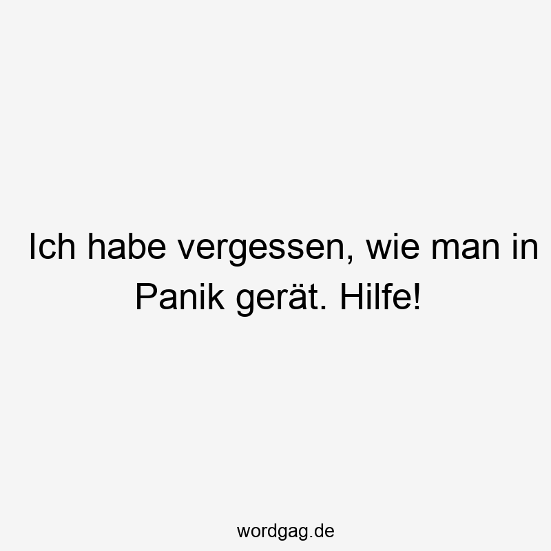 18 Lustige Panik Sprüche - Ich habe vergessen, wie man in Panik gerät. Hilfe!