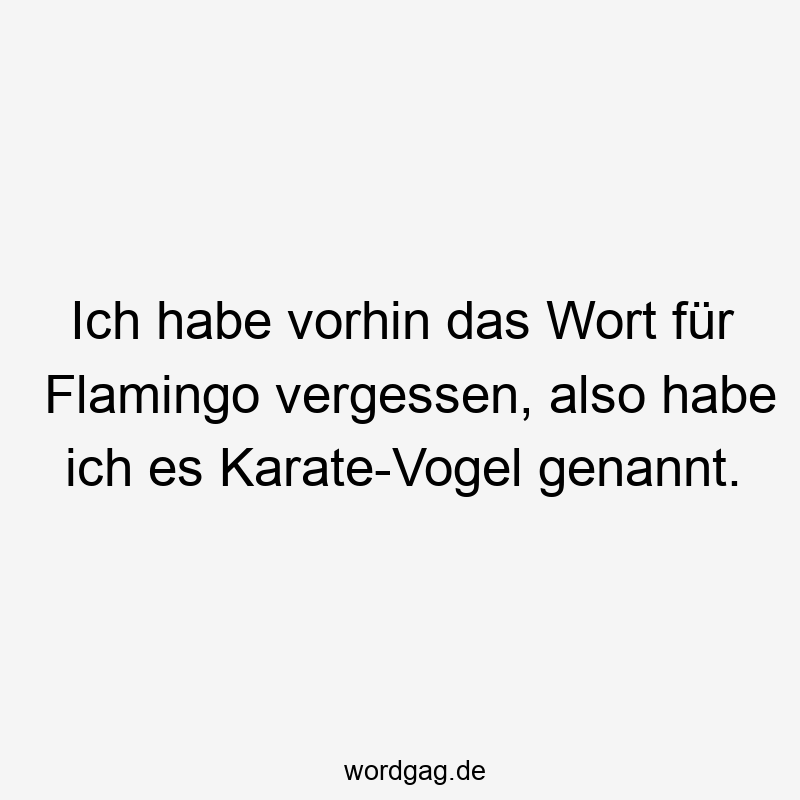 Ich habe vorhin das Wort für Flamingo vergessen, also habe ich es Karate-Vogel genannt.