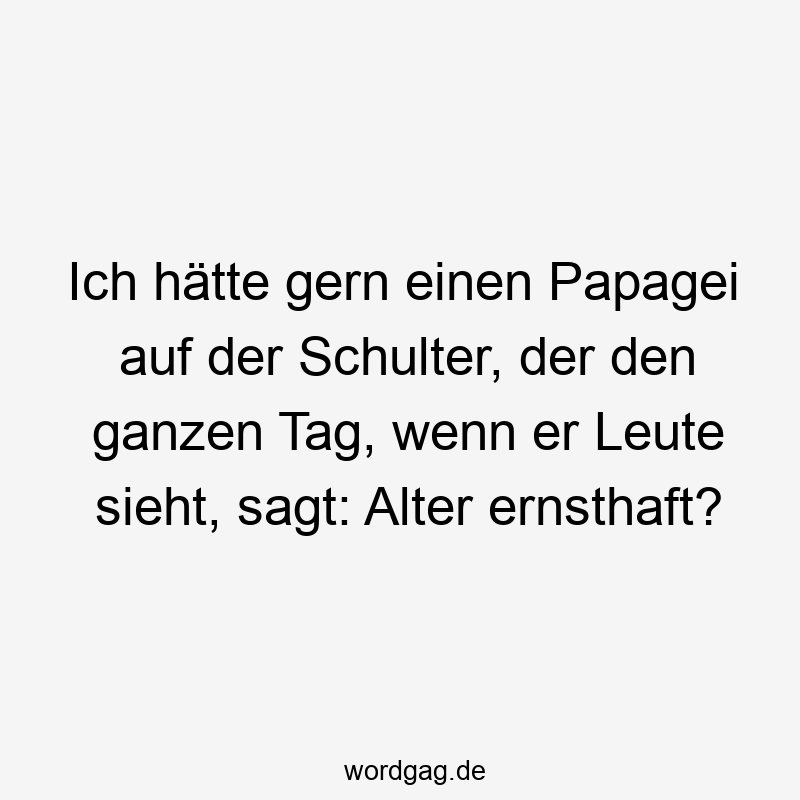 Ich hätte gern einen Papagei auf der Schulter, der den ganzen Tag, wenn er Leute sieht, sagt: Alter ernsthaft?