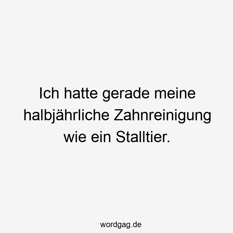 Ich hatte gerade meine halbjährliche Zahnreinigung wie ein Stalltier.