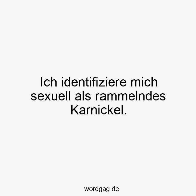 sexuell - Ich identifiziere mich sexuell als rammelndes Karnickel.