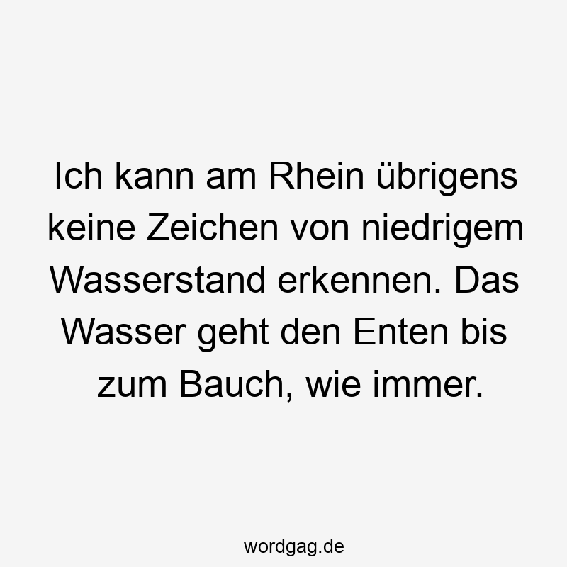 Lustige Sprüche: Natur - Ich kann am Rhein übrigens keine Zeichen von niedrigem Wasserstand erkennen. Das Wasser geht den Enten bis zum Bauch, wie immer.