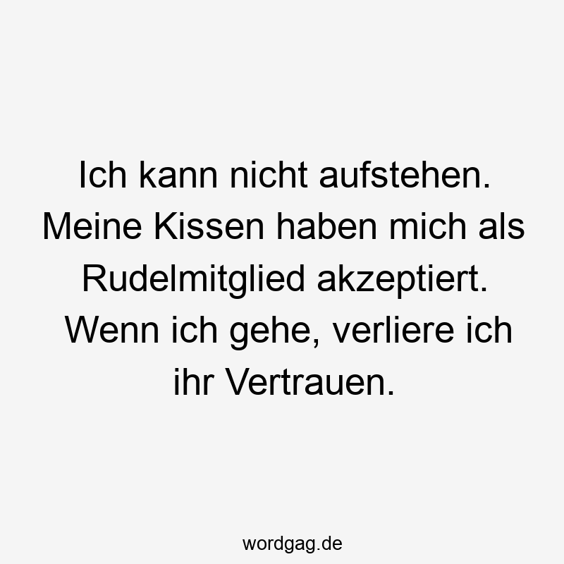 Ich kann nicht aufstehen. Meine Kissen haben mich als Rudelmitglied akzeptiert. Wenn ich gehe, verliere ich ihr Vertrauen.