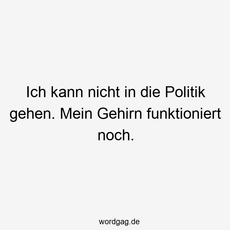 Ich kann nicht in die Politik gehen. Mein Gehirn funktioniert noch.
