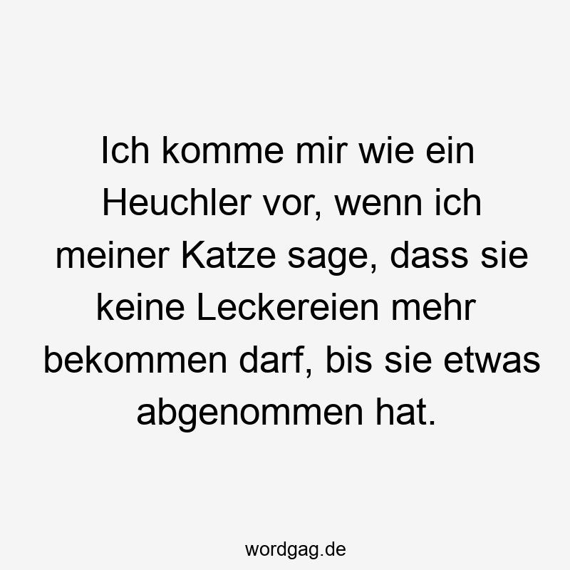Ich komme mir wie ein Heuchler vor, wenn ich meiner Katze sage, dass sie keine Leckereien mehr bekommen darf, bis sie etwas abgenommen hat.