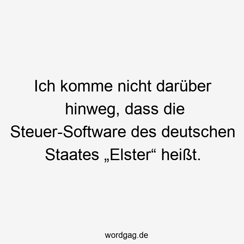 Ich komme nicht darüber hinweg, dass die Steuer-Software des deutschen Staates „Elster“ heißt.