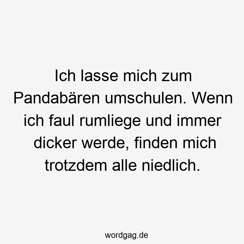 Ich lasse mich zum Pandabären umschulen. Wenn ich faul rumliege und immer dicker werde, finden mich trotzdem alle niedlich.