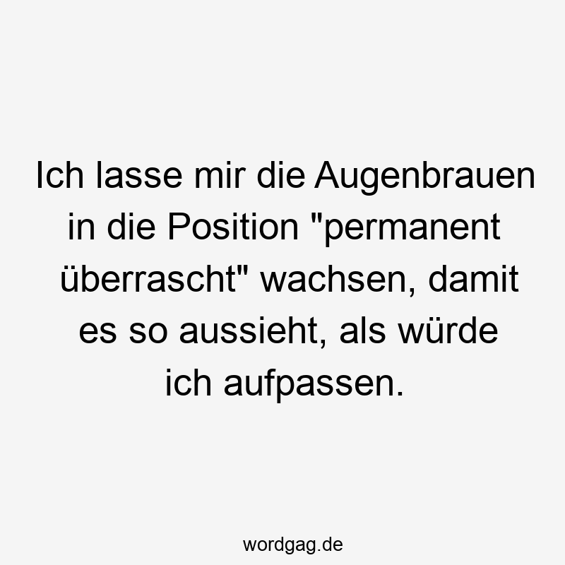 Ich lasse mir die Augenbrauen in die Position „permanent überrascht“ wachsen, damit es so aussieht, als würde ich aufpassen.