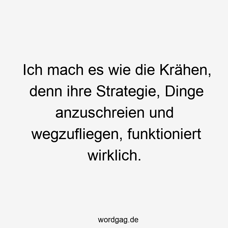 Ich mach es wie die Krähen, denn ihre Strategie, Dinge anzuschreien und wegzufliegen, funktioniert wirklich.