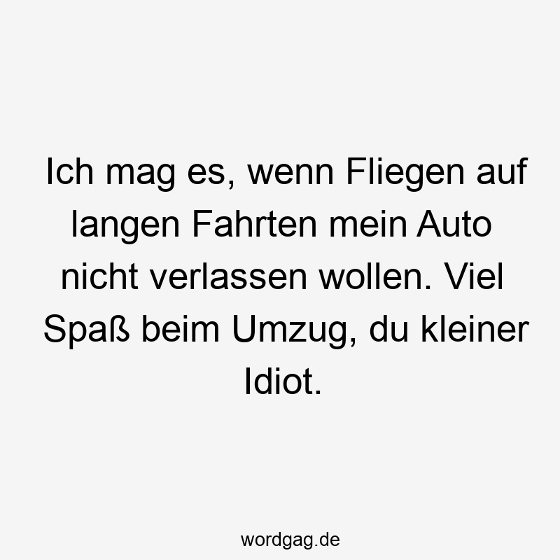 Ich mag es, wenn Fliegen auf langen Fahrten mein Auto nicht verlassen wollen. Viel Spaß beim Umzug, du kleiner Idiot.