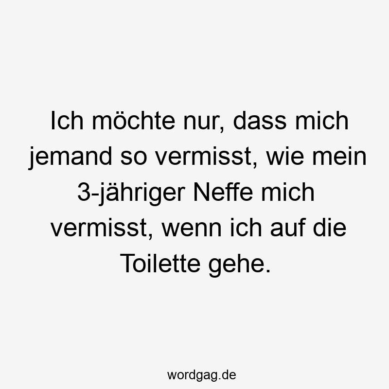 Lustige Sprüche: Toilette - Ich möchte nur, dass mich jemand so vermisst, wie mein 3-jähriger Neffe mich vermisst, wenn ich auf die Toilette gehe.