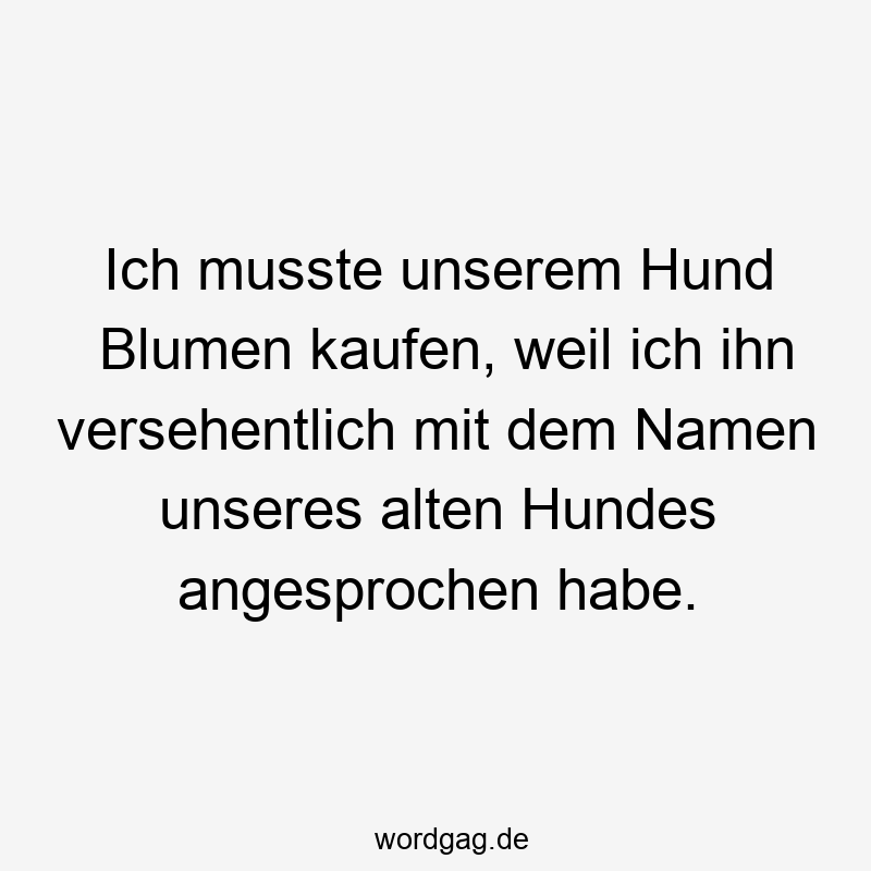 Ich musste unserem Hund Blumen kaufen, weil ich ihn versehentlich mit dem Namen unseres alten Hundes angesprochen habe.